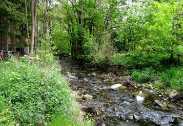 Tocht Te voet Bestwig - Ostwig Rundweg O4 - Photo