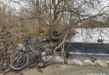 Trail Mountain bike Chalette-sur-Loing - 2 eme sortie - Photo