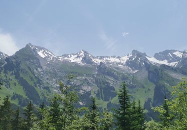 Tocht Stappen La Clusaz - La CLUSAZ  ... la Tête du Danay. - Photo