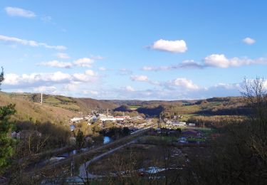 Tocht Stappen Chaudfontaine - De Beaufays à Chèvremont - Photo