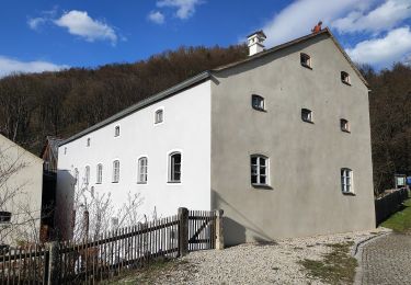 Excursión A pie Dietfurt an der Altmühl - Dietfurter Wasserwege (Zurück zur Quelle) - Photo