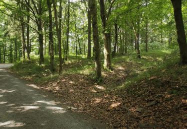 Excursión A pie Geroldsgrüner Forst - Säuerlingsweg DÖ 97 - Photo