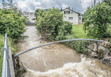 Randonnée A pied Gränichen - Gränichen - Rütihof - Photo