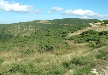 Tour Zu Fuß  - Șaua Bohodei-Vf. Custurilor-Stâna de Vale - Photo