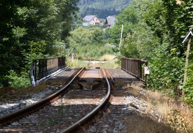 Randonnée A pied Naila - Marxgrüner Panoramaweg US 46 - Photo