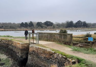 Trail Walking Le Hézo - PR_56_Le-Hezo_AA_01_Les-Fontaines_Circuit1b_20220123 - Photo