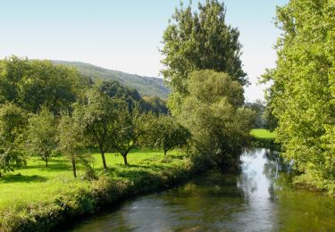 Randonnée A pied Emmerthal - ET6 Rundwanderweg Schmale Haube - Photo