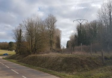 Tocht Stappen Maraye-en-Othe - forêt chenu - Photo