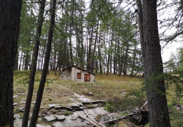 Trail Walking Uvernet-Fours - Cabane de la petite Saume. 27/09/20 - Photo
