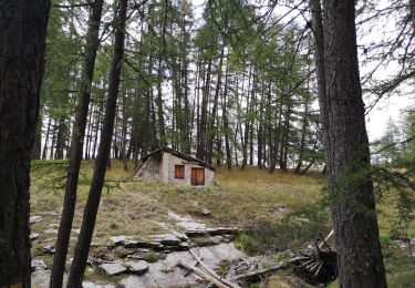 Excursión Senderismo Uvernet-Fours - Cabane de la petite Saume. 27/09/20 - Photo