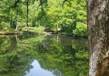 Tocht Stappen Poigny-la-Forêt - poigny - Photo