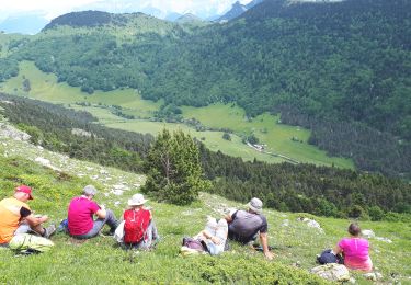 Excursión Senderismo Châtillon-en-Diois - 2017-06-04 15:45:22 - Photo