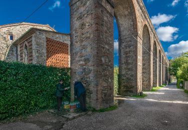 Trail On foot Pisa - Via degli Acquedotti - Photo