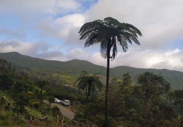 Trail Walking Saint-Louis - Fenêtre des Makes par Piton Cabri - Photo