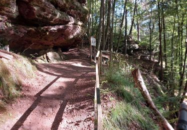 Tocht Stappen Münchweiler an der Rodalb - Felsenwald - Photo