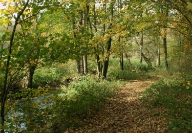 Trail On foot Lontzen - Busch - Photo