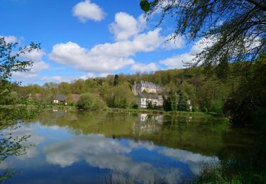 Excursión Senderismo Pocé-sur-Cisse - Pocé-sur-Cisse - Saint-Ouen-les-Vignes - 17km 305m 3h45 (35mn) - 2024 04 10 - Photo