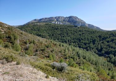 Tocht Stappen Marseille - Luminy Gineste (boucle) - Photo