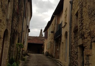 Tocht Stappen Sauveterre-de-Guyenne - test - Photo