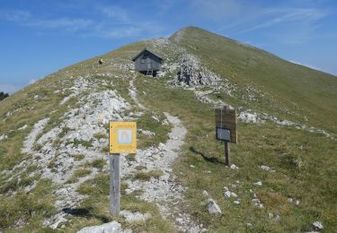 Trail Walking Glandage - jocou - Photo