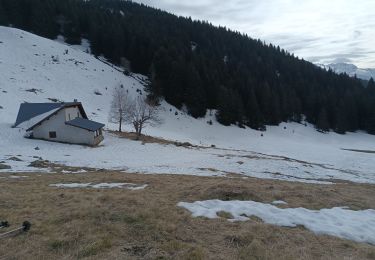 Tocht Stappen Crêts-en-Belledonne - cret luisart - Photo