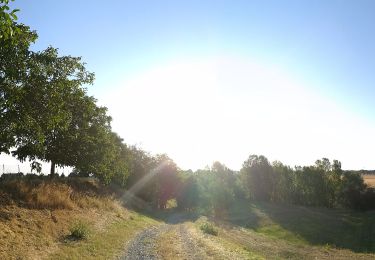 Tour Zu Fuß Reggio Emilia - Vasca Corbelli - Puianello - Montebello - Monte della Sella - Photo