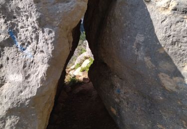 Excursión Senderismo Évenos - 83 grès ste anne - Photo