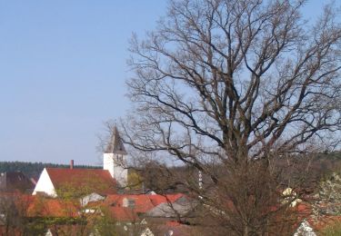 Percorso A piedi Teugn - S 04 Teugn - Haselspitz (Blaues Rechteck) - Photo