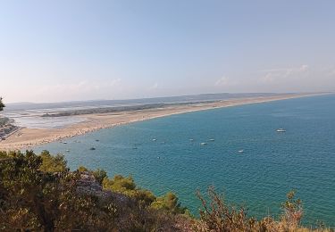 Tocht Stappen Leucate - la franqui . phare de leucate .. retour via la falaise - Photo