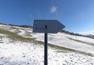 Tocht Te voet Vertova - Il Sentiero di San Patrizio - Photo