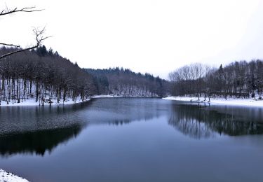 Tocht Te voet Wipperfürth - Rundwanderweg A3 (Egen - Bevertalsperre) - Photo