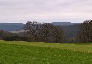 Percorso A piedi Bad König - Rundwanderweg S1 : Fürstengrund-Runde - Photo