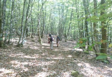 Excursión Senderismo La Grande-Verrière - 190919-Morvan-2 - Photo