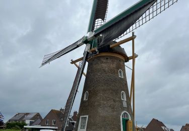 Trail Electric bike Veere - Vélocipédie dans le Walcheren en Zélande  - Photo