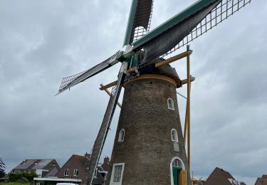 Percorso Bicicletta elettrica Veere - Vélocipédie dans le Walcheren en Zélande  - Photo