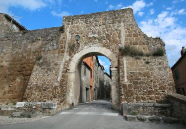 Percorso A piedi Otricoli - Ocriculum - Poggio - Photo