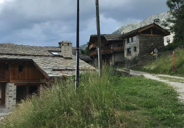 Tocht Stappen Sainte-Foy-Tarentaise - Sentier des fraises  - Photo