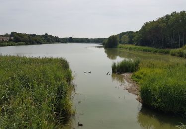 Tocht Stappen Le Perray-en-Yvelines - Le Perray en Yvelines à Cernay la Ville - Photo