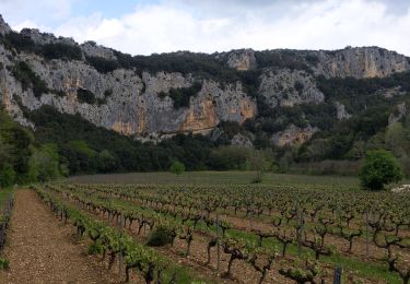 Randonnée Marche Vallon-Pont-d'Arc - grotte louoi et derocd - Photo