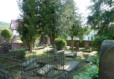 Tour Zu Fuß Heilbad Heiligenstadt - Elisabethhöhe Rundwanderweg (Grüner Balken) - Photo