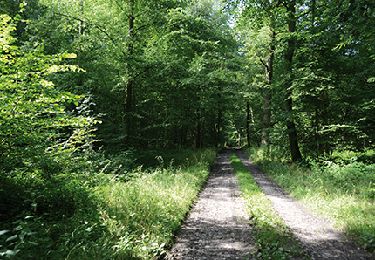 Tour Wandern Momignies - Momignies - Circuit Natura 2000, des sites qui valent le détour - Ht08 - Photo