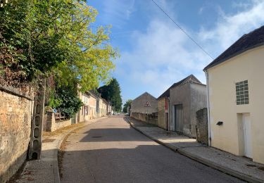 Tocht Lopen Couloutre - Couloutre - Photo