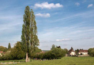 Tour Wandern La Chapelle-Montligeon - La Chapelle-Montligeon - Moutiers-au-Perche via Bizou 20 km - Photo