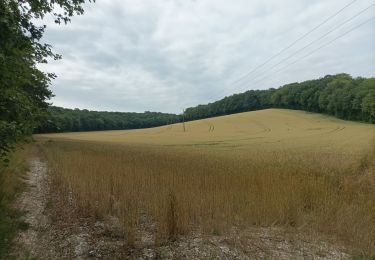 Trail Walking Prugny - Randonnée club Joie de Vivre - Photo