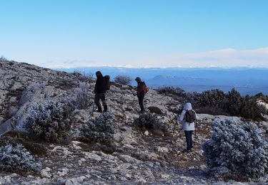 Excursión Senderismo Signes - latay paradis pas de l'aïl  - Photo