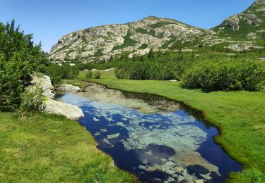 Randonnée Marche Tavera - Pozzines de Pozzolo - Photo