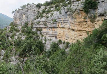 Trail Walking La Palud-sur-Verdon - VERDON: SENTIER DU BASTIDON - Photo