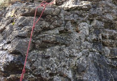 Trail Walking Toulon - Faron versant Nord  - Photo