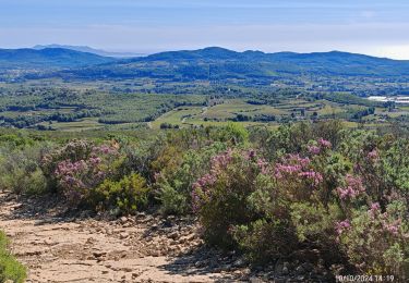 Randonnée Marche Le Castellet - vers le fou de Ceyrestes - Photo