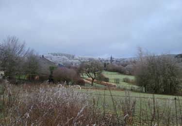 Tocht Stappen Libin - Redu 311224 - Photo